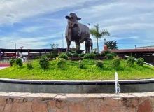 Cancelan la Expo Ganadera y Palenque Culiacán 2024