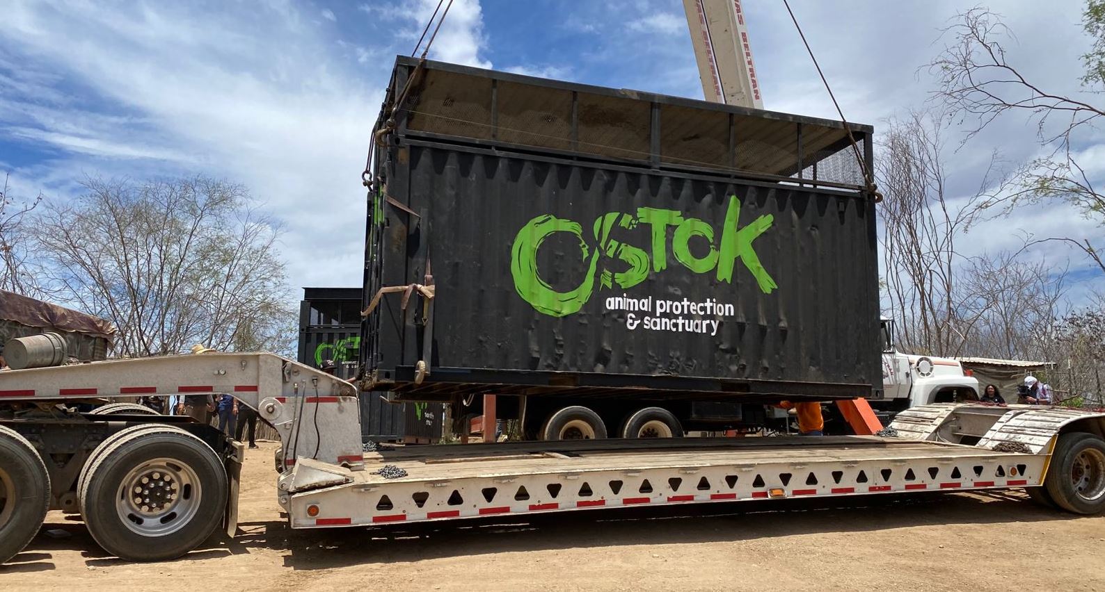 VIOLENCIA OSTOK 4